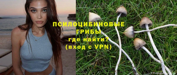 амф Алексеевка