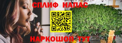 МДПВ Гусев