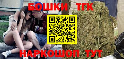МДПВ Гусев