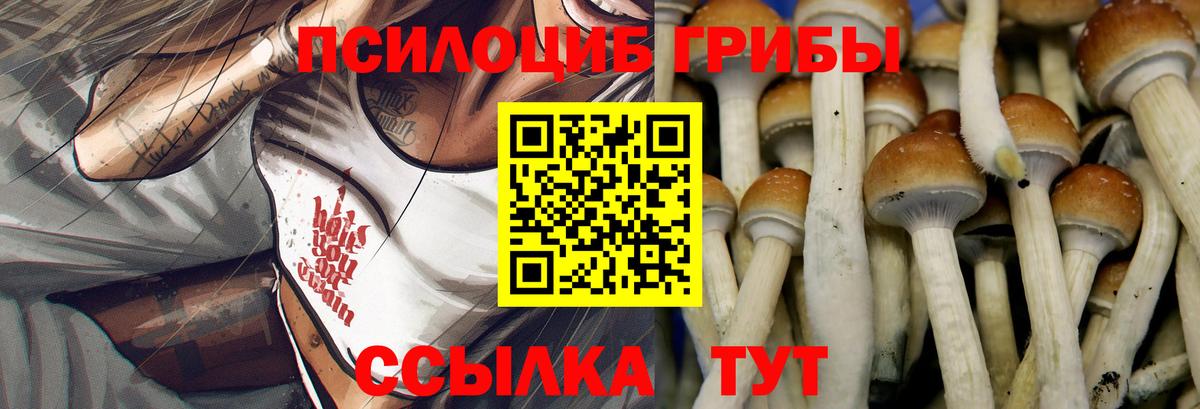 Псилоцибиновые грибы Cubensis  Галлюциногенные грибы прущие грибы  Киров  Вход с VPN 